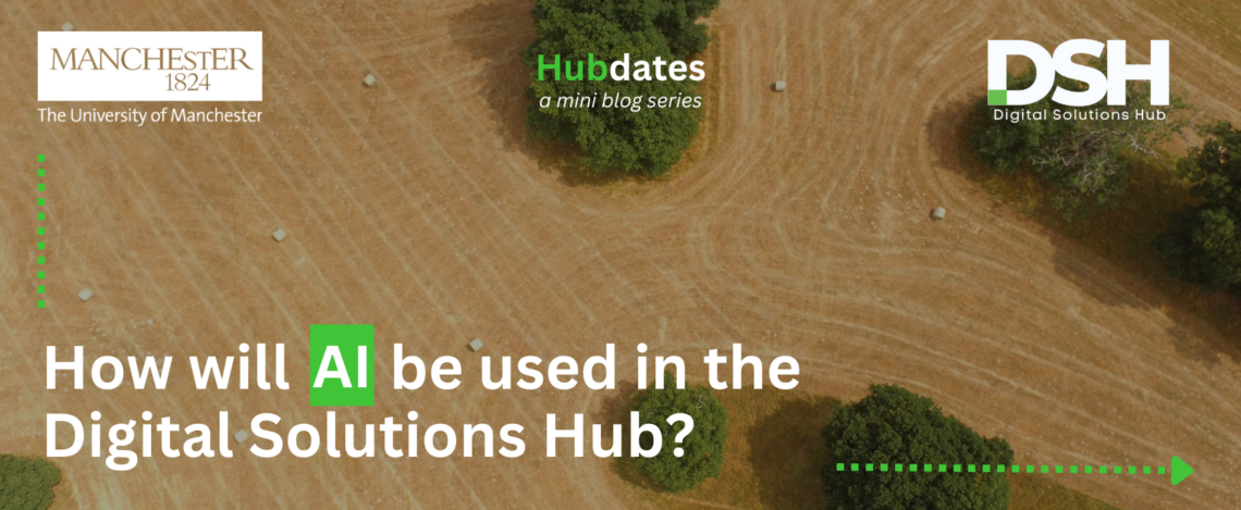 The background is a yellow field with green trees and hay bails dotted around. There is a white university of manchester logo in the top left, and a white Digital Solutions Hub logo in the top right. In the centre, the title reads 'Hubdates, a mini blog series'. The title in the bottom left reads 'How will AI be used in the Digital Solutions Hub?'. A green arrow follow the edge of the image from the top left to the bottom right.