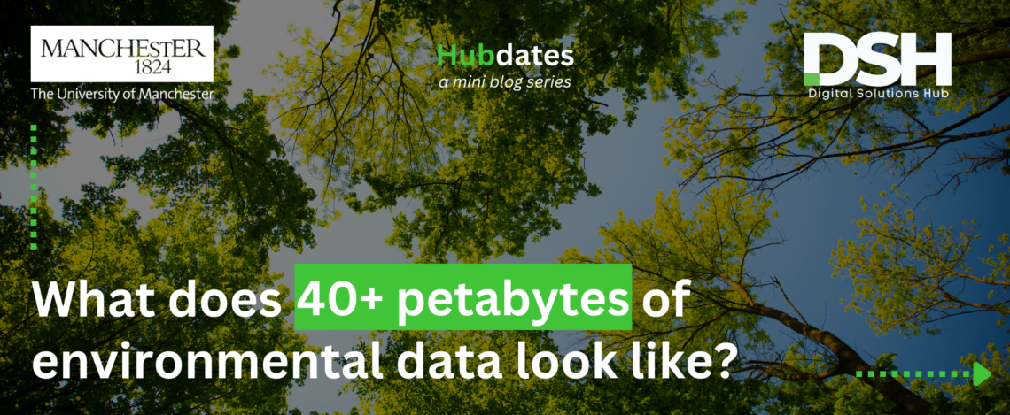 The background is green trees against a blue sky. In the top left corner is a white The University of Manchester logo. In the top right there is a white Digital Solutions Hub logo. In the top middle there is text that reads 'Hubdates: a mini blog series'. In the bottom left, there is text that reads 'What does 40+ petabytes of environmental data look like?'.