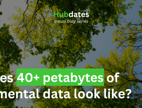 The background is green trees against a blue sky. In the top left corner is a white The University of Manchester logo. In the top right there is a white Digital Solutions Hub logo. In the top middle there is text that reads 'Hubdates: a mini blog series'. In the bottom left, there is text that reads 'What does 40+ petabytes of environmental data look like?'.