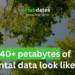 The background is green trees against a blue sky. In the top left corner is a white The University of Manchester logo. In the top right there is a white Digital Solutions Hub logo. In the top middle there is text that reads 'Hubdates: a mini blog series'. In the bottom left, there is text that reads 'What does 40+ petabytes of environmental data look like?'.